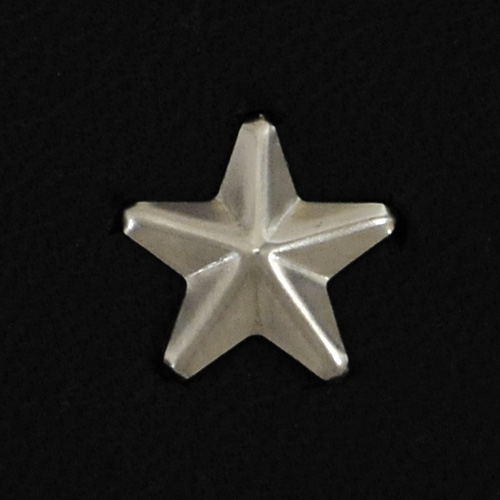スタースポッツ・ニッケル＜12.5mm＞