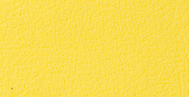 5018 レモン